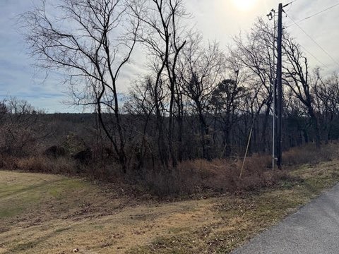 Golf Course Lot in Holiday Island