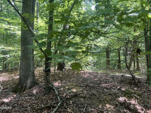 Baneberry, TN Homesite Opportunity