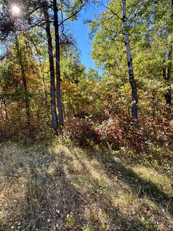 Picture 15