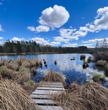 Land, Solon Springs, WI