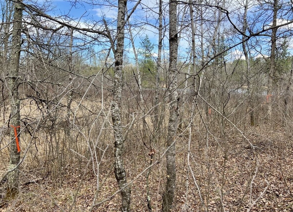 Picture 31