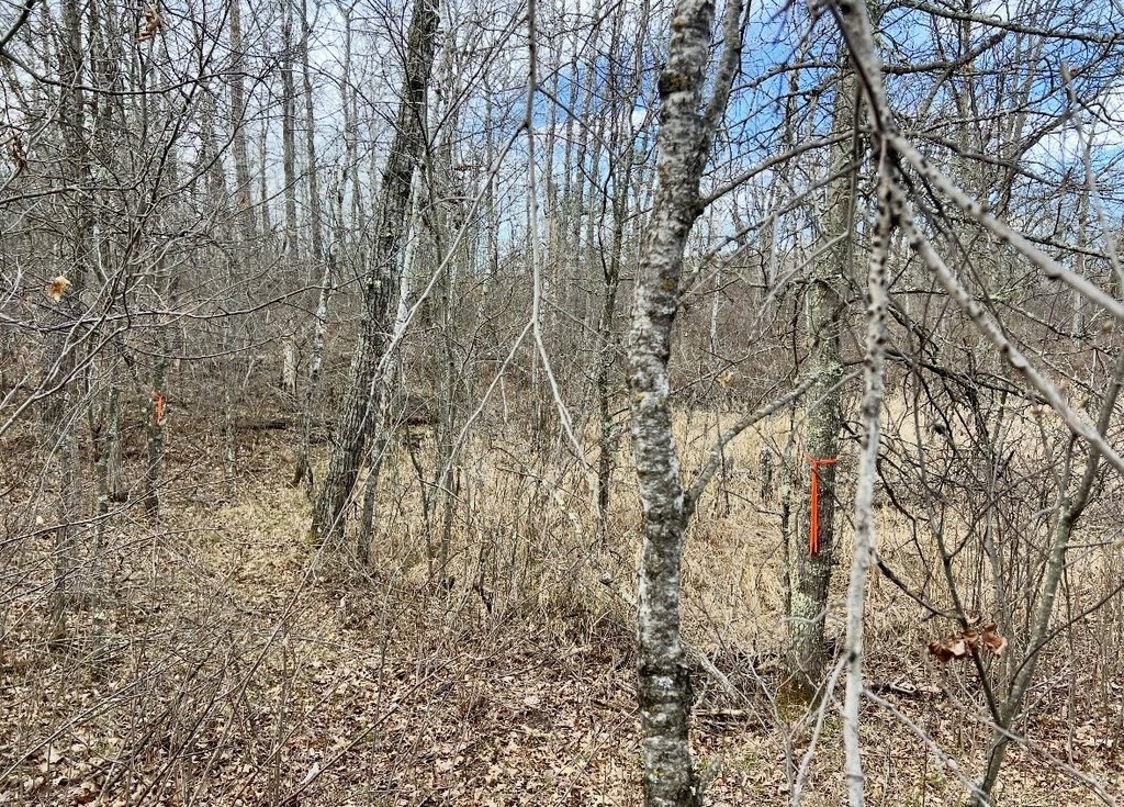 Picture 30