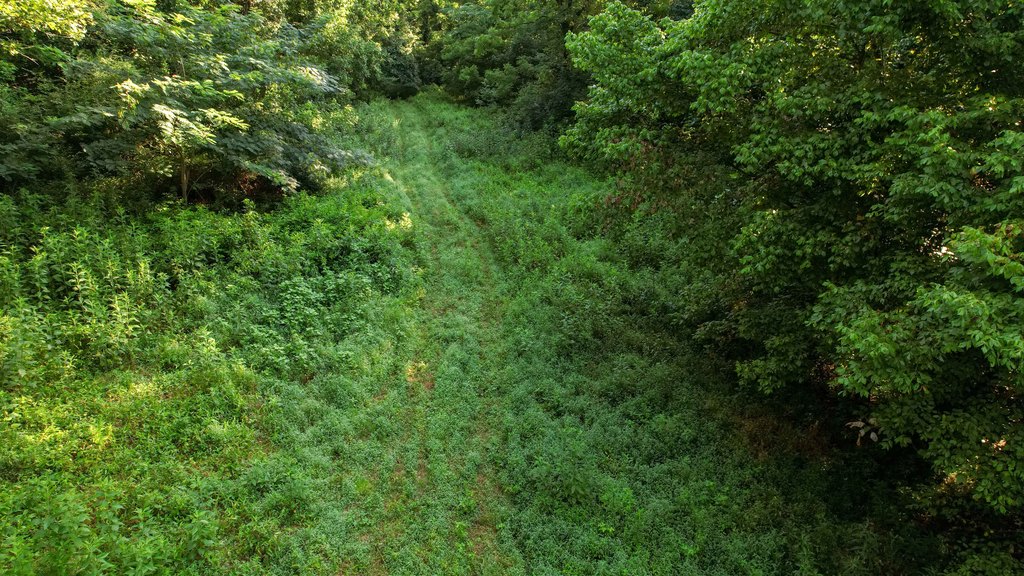 Picture 8