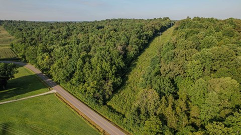 Mostly Wooded Hunting Land Tract