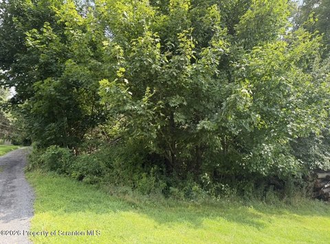 Land, Scott Twp, PA