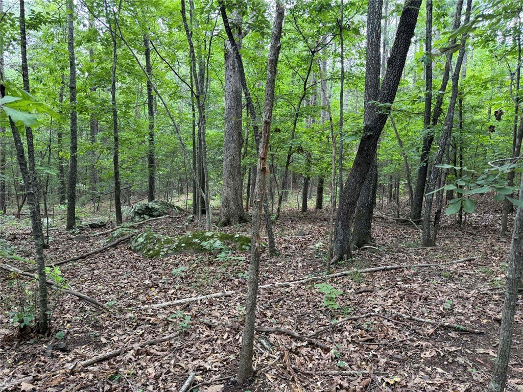 Picture 39