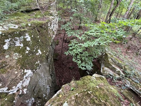 Wooded Acreage Tract with Seasonal Creek