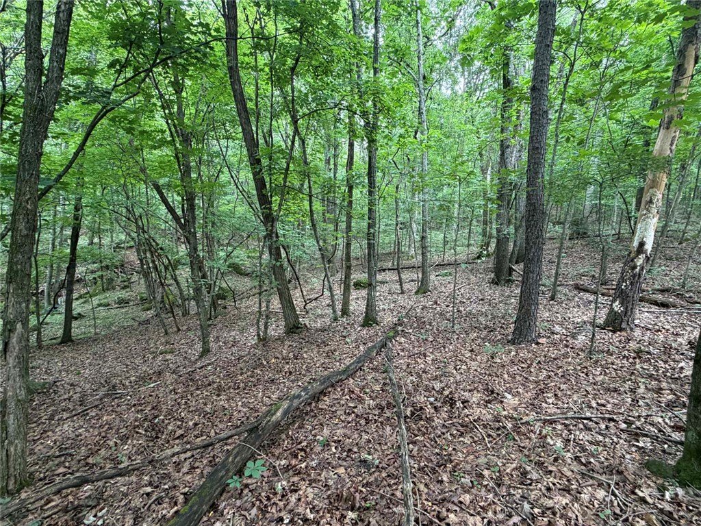 Picture 47