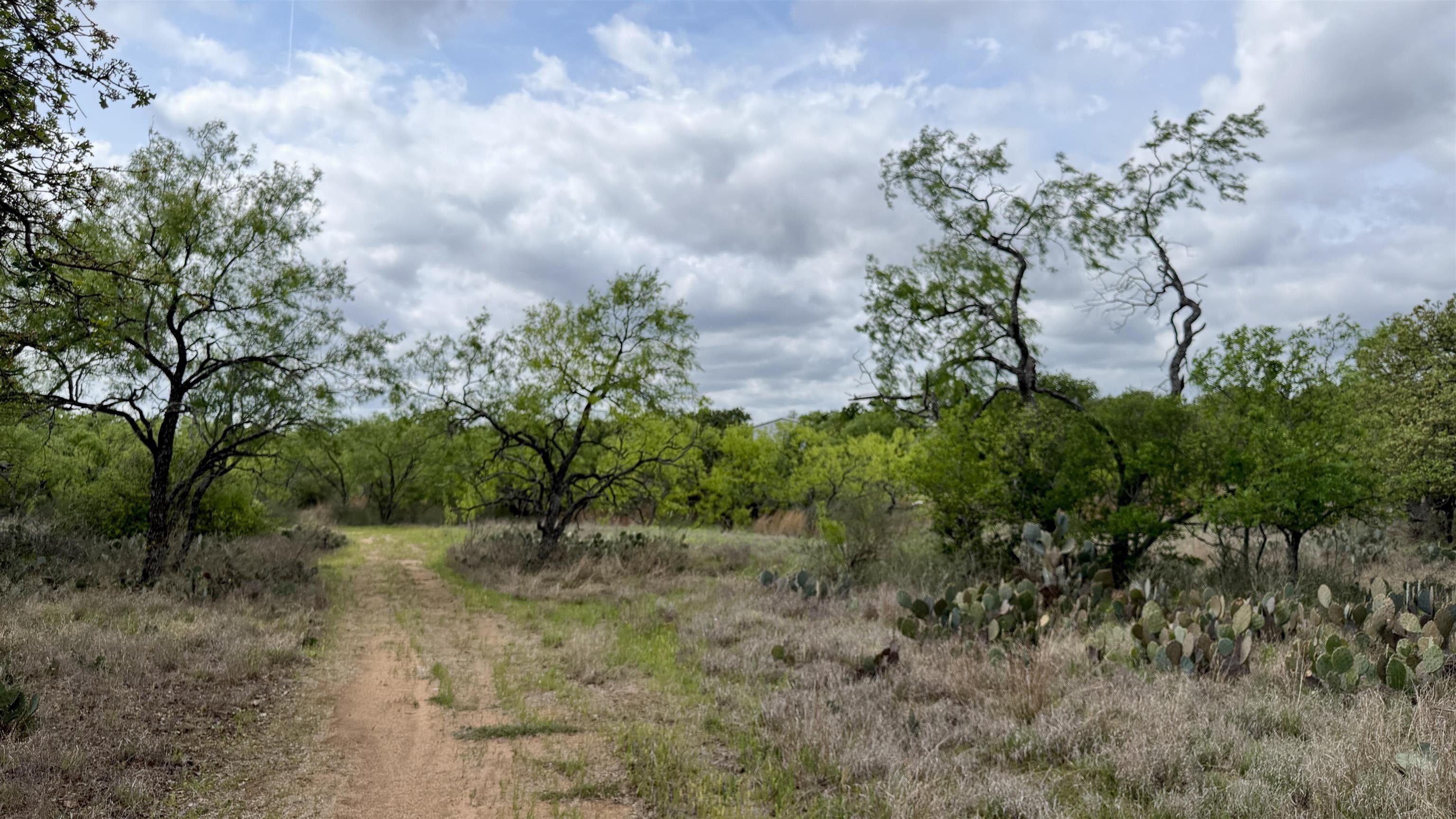 Kingsland, TX Land Opportunity