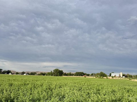 Agricultural Land with Irrigation