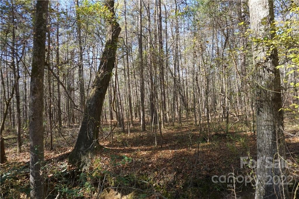 Clover, SC Land Parcel
