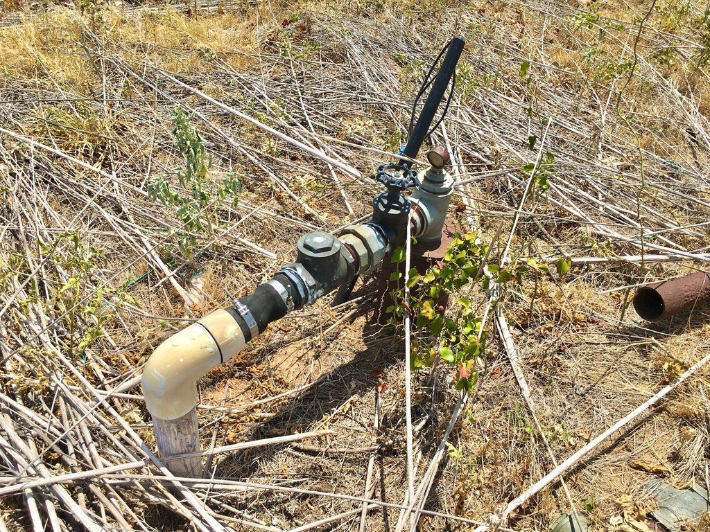 Picture 19