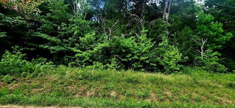 Camden TN Vacant Building Lot