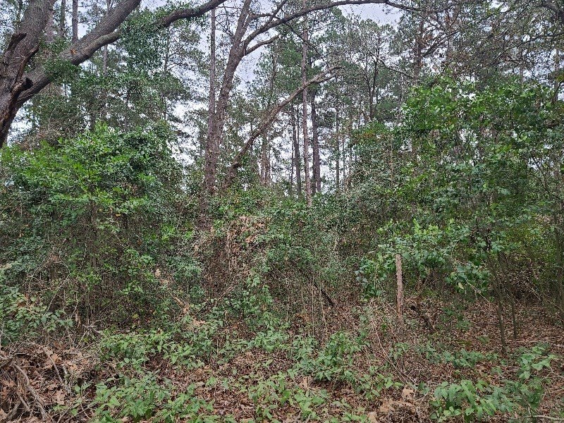 Picture 6