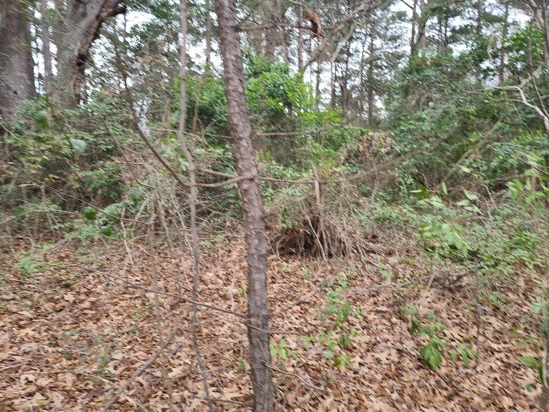 Picture 8