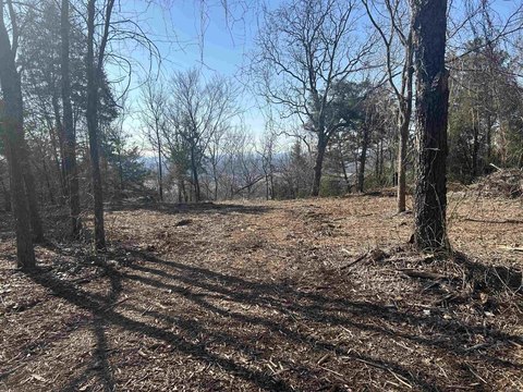 Pottsville Land with Bluff Views