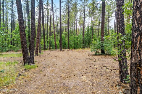 LAND - Pinetop, AZ