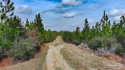 10.65 Acres in Milton, FL