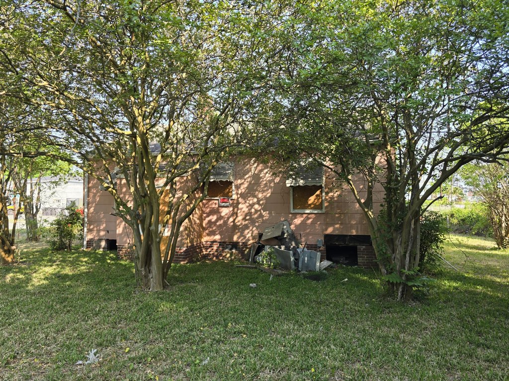 Picture 9