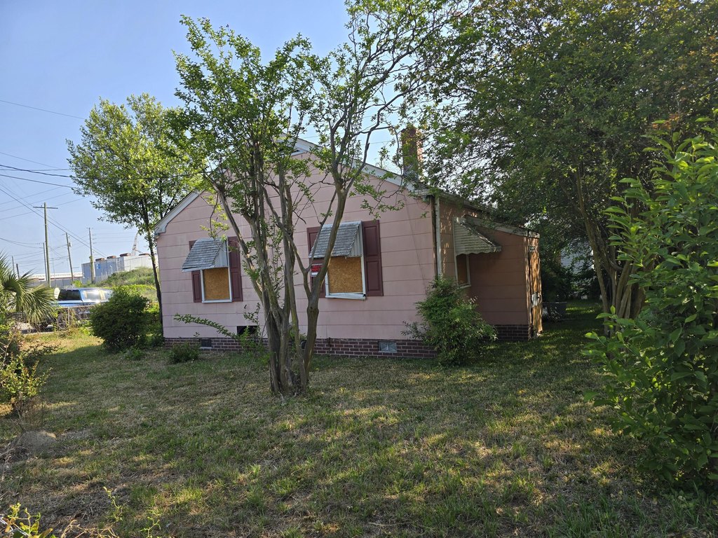 Picture 6