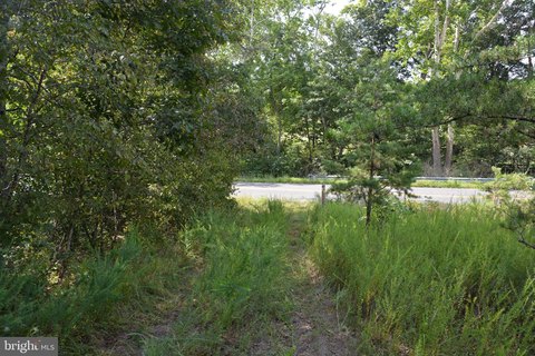Unrestricted Wooded Land For Sale
