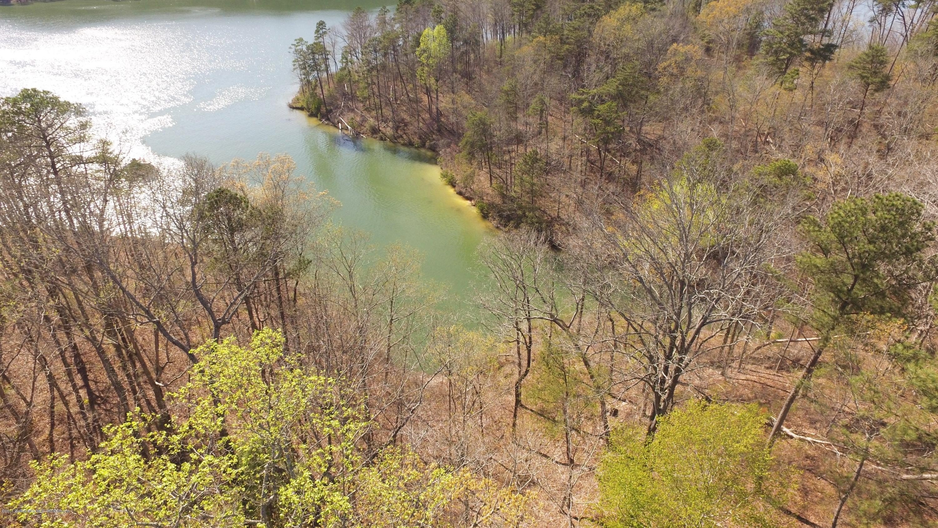 Land For Sale in Arley