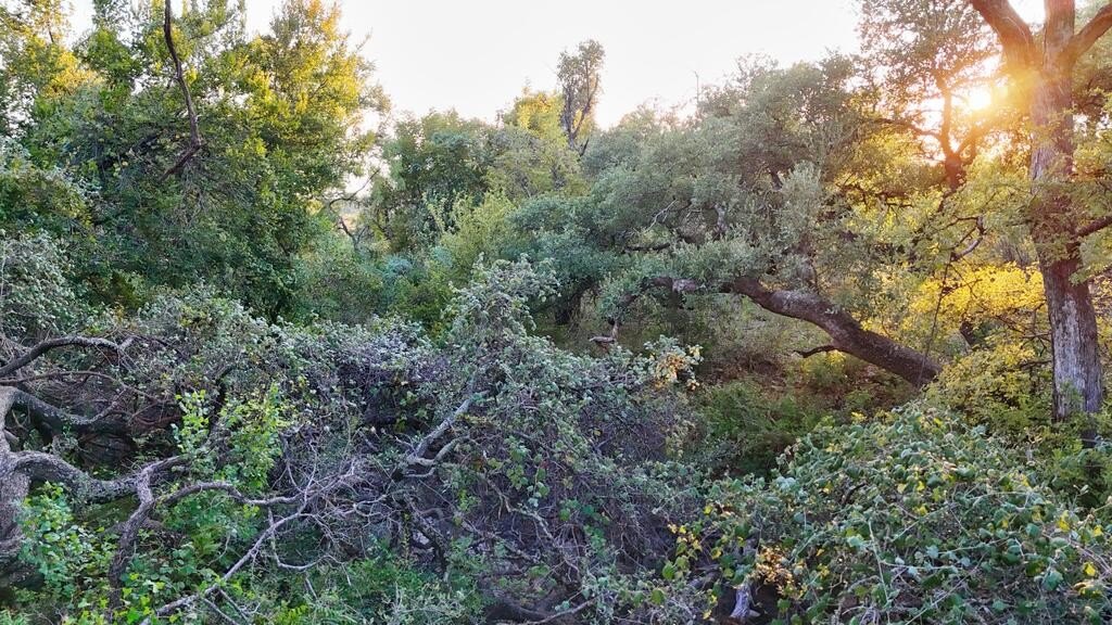 Picture 13