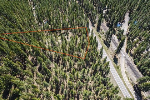 Land Backing National Forest