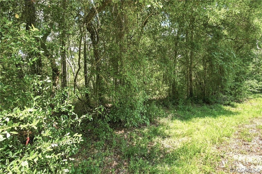 Picture 7