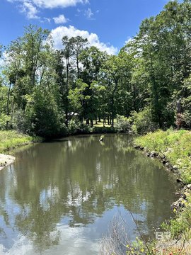LAND - Magnolia Springs, AL