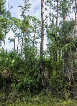 Vacant Lot in North Port