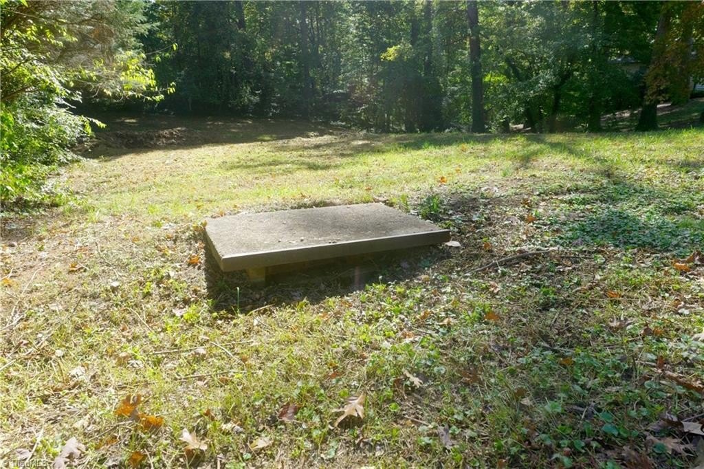 Picture 42