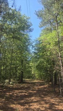 LAND - Sumter, SC
