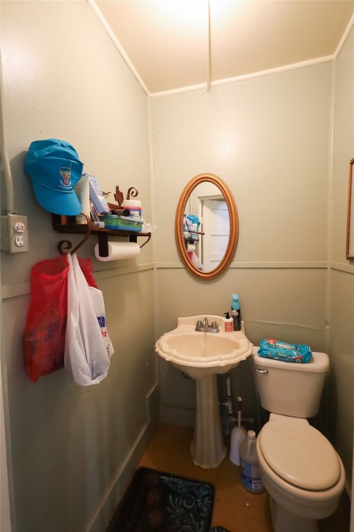 Picture 6
