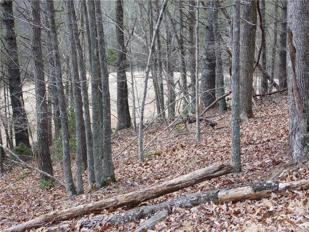 Picture 8