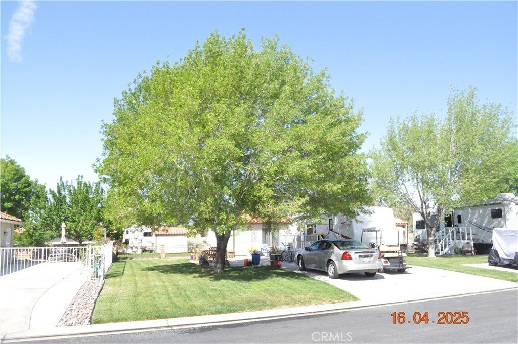 Picture 4