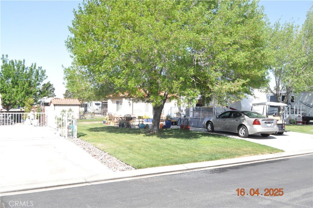 Picture 6