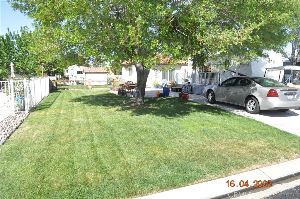 Picture 9