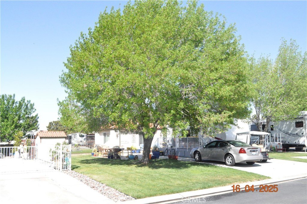 Picture 5