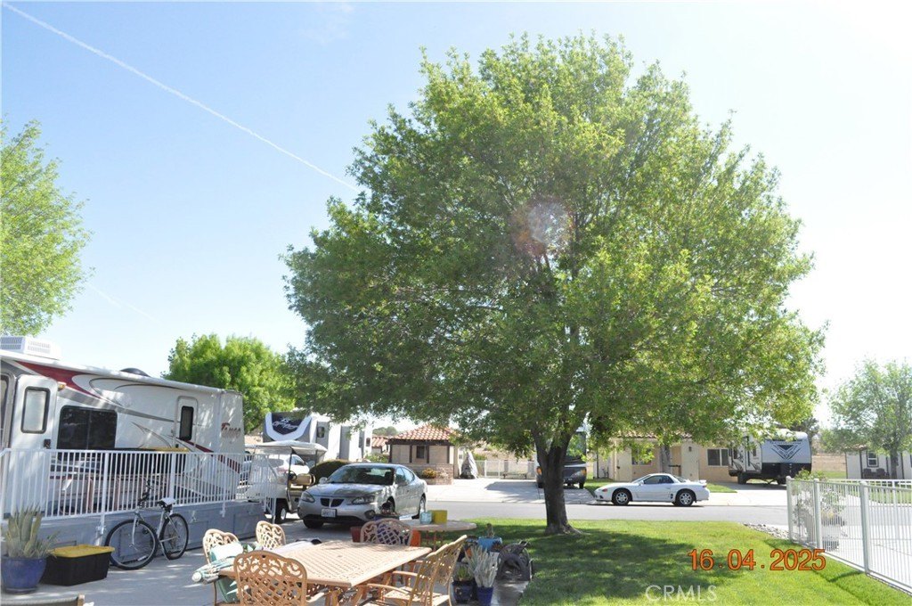 Picture 15