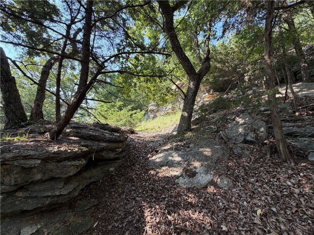 Picture 21
