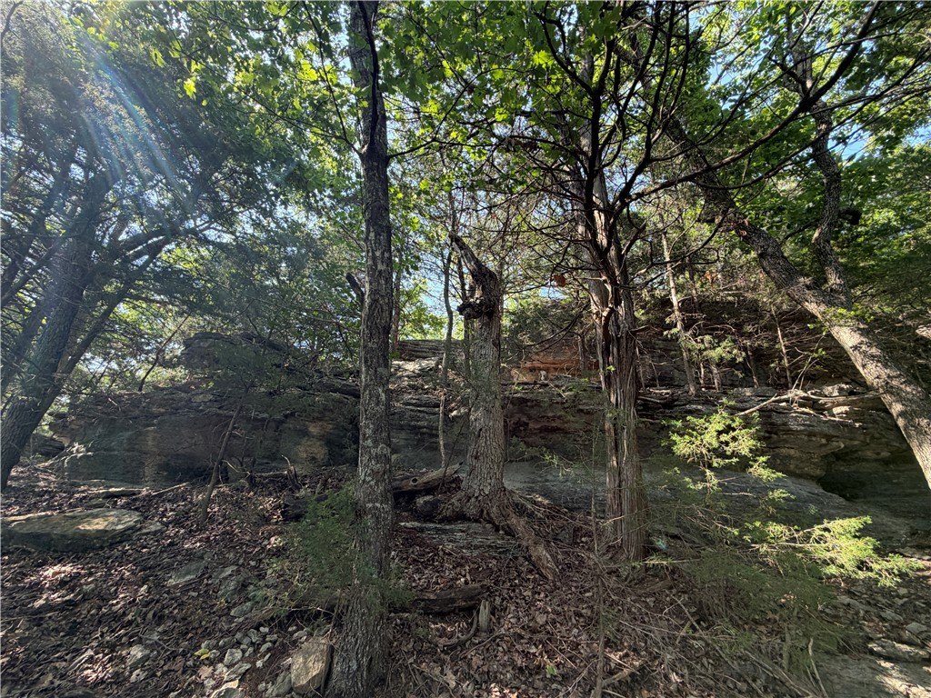 Picture 19