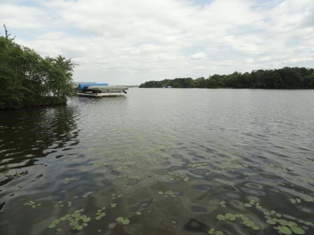 Picture 45