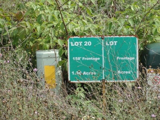 Picture 25