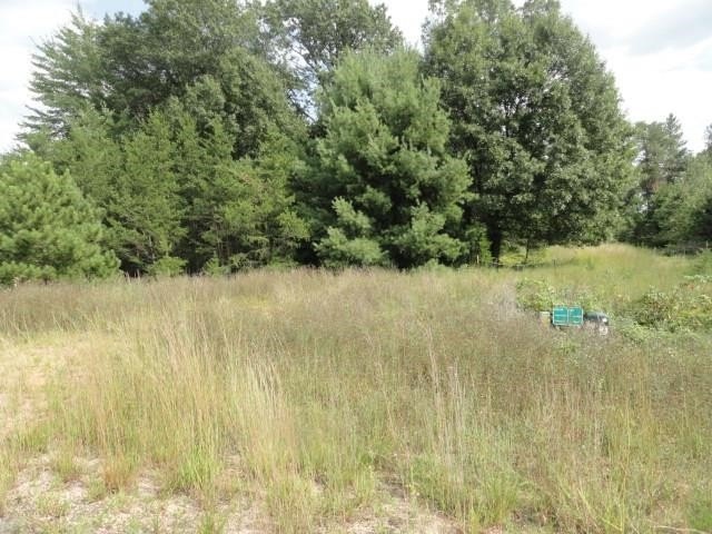 Picture 26
