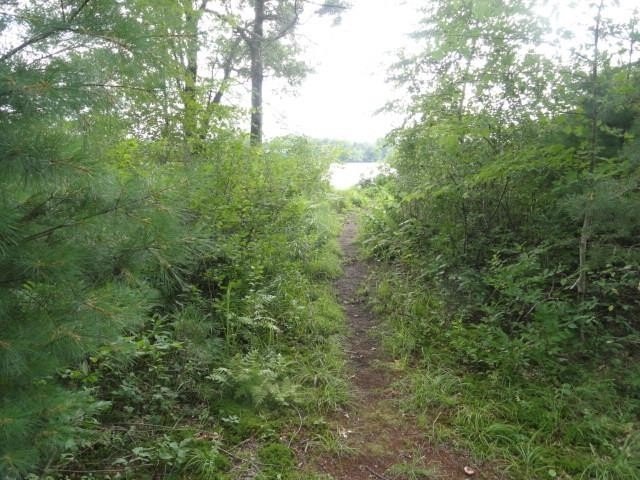 Picture 41