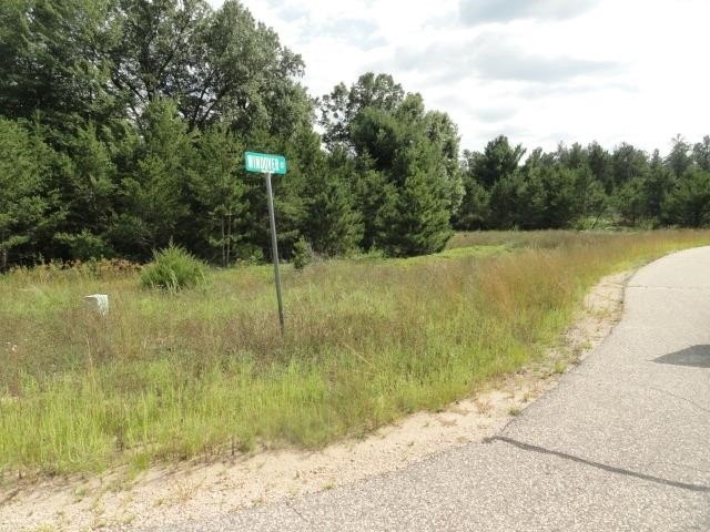 Picture 23