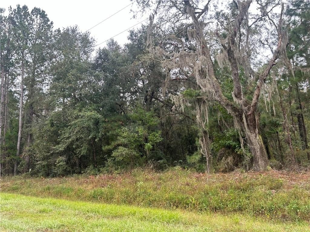 Picture 3