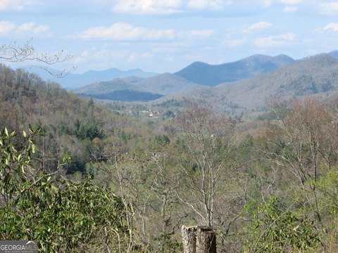 Dillard, GA Wooded Lot