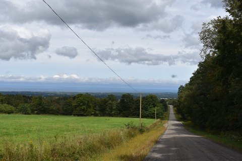 Land, Fredonia, NY